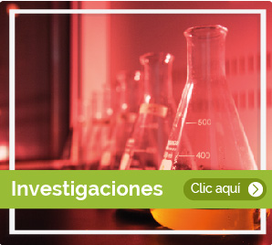 investigaciones1.jpg