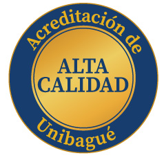 Acreditación Institucional de Alta Calidad